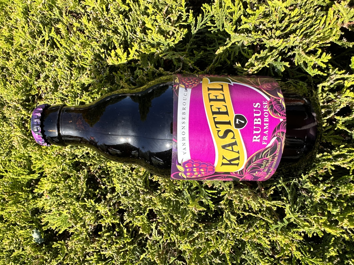 Изображението липсва