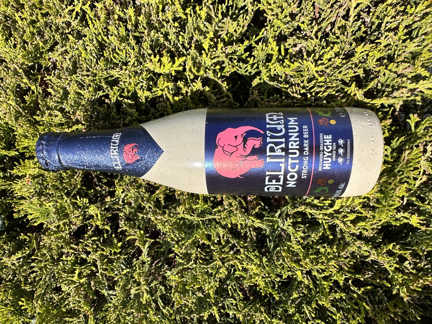 Изображението липсва