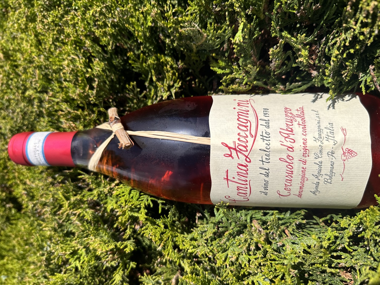 Изображението липсва