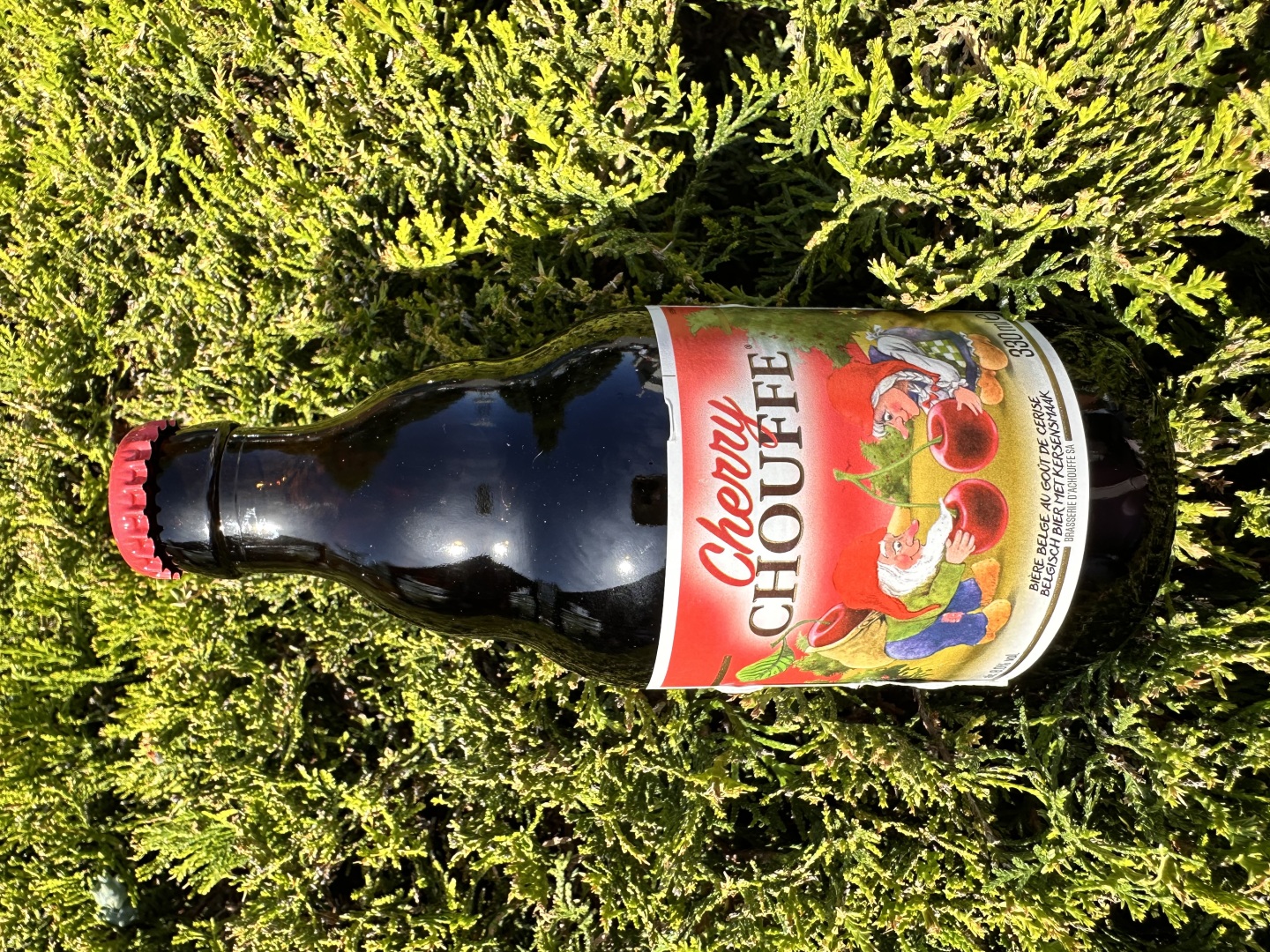 Изображението липсва