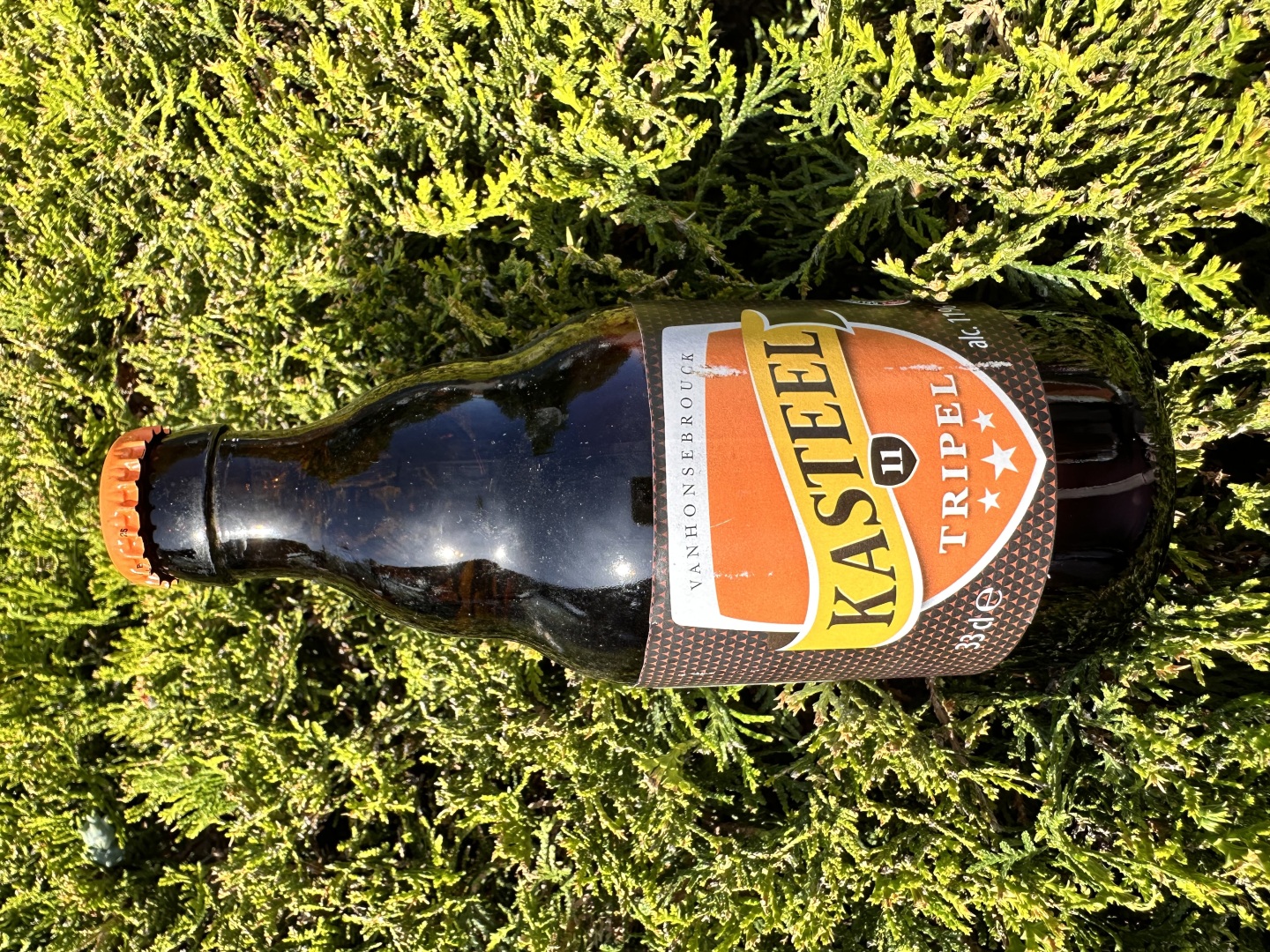 Изображението липсва