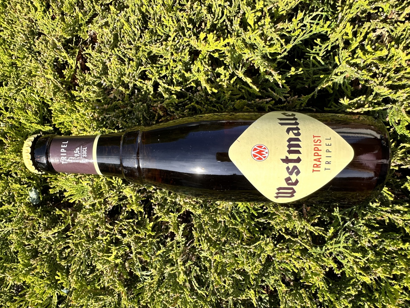 Изображението липсва