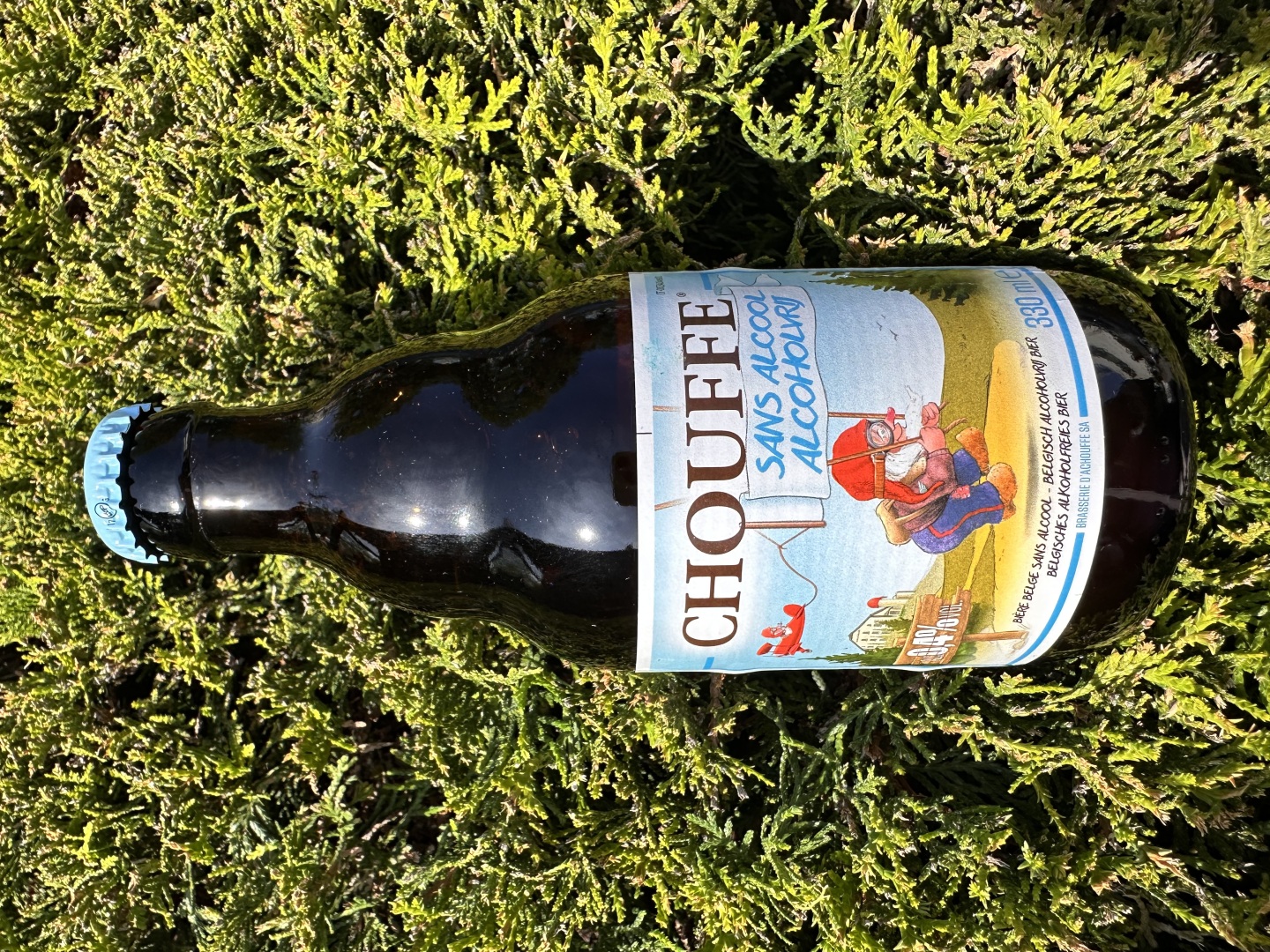 Изображението липсва