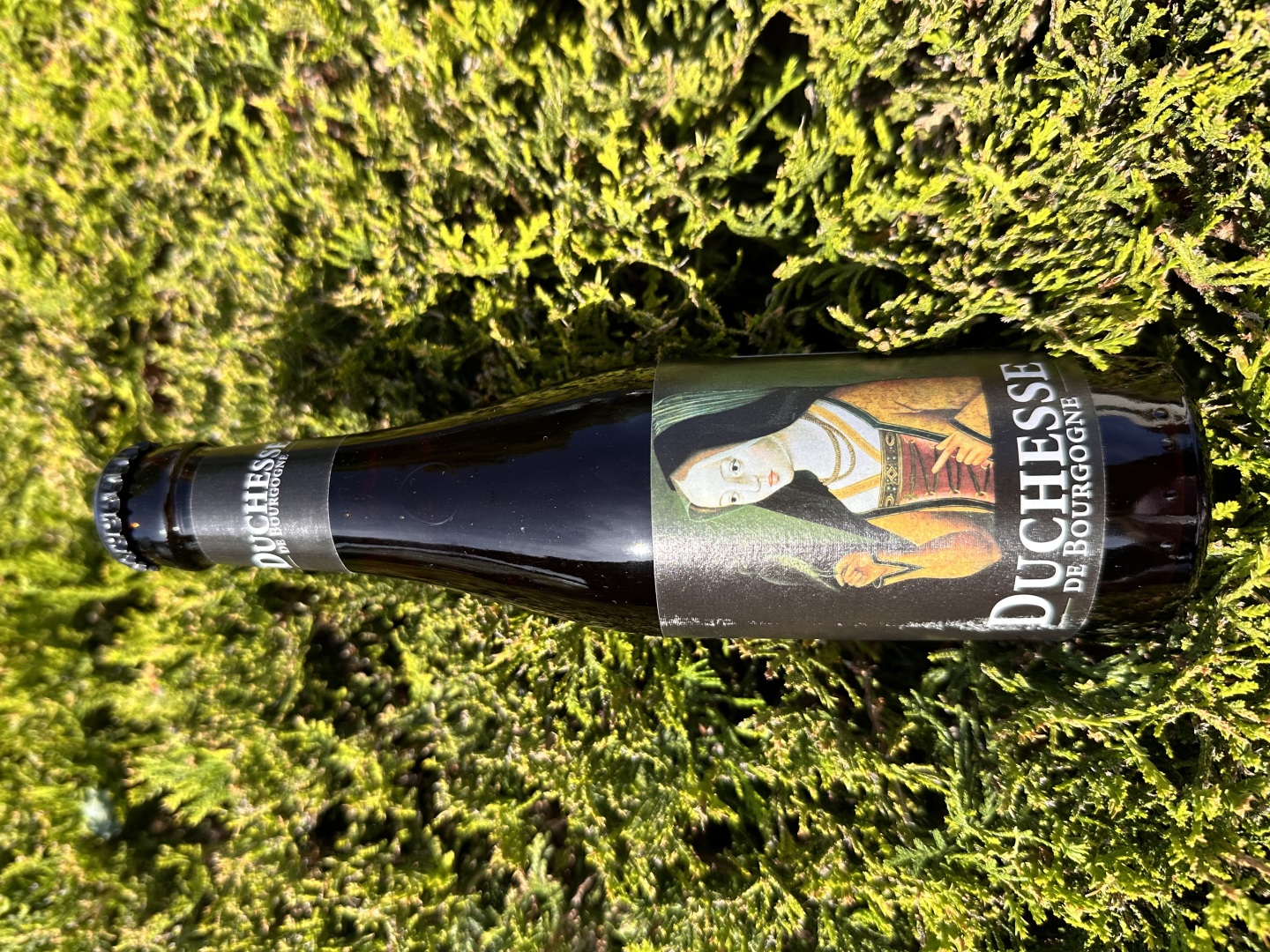 Изображението липсва