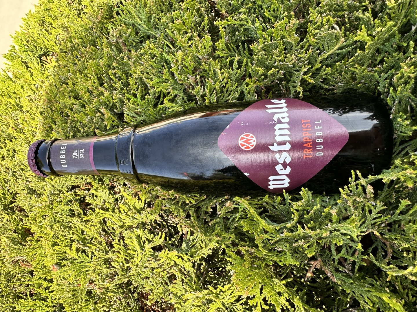 Изображението липсва