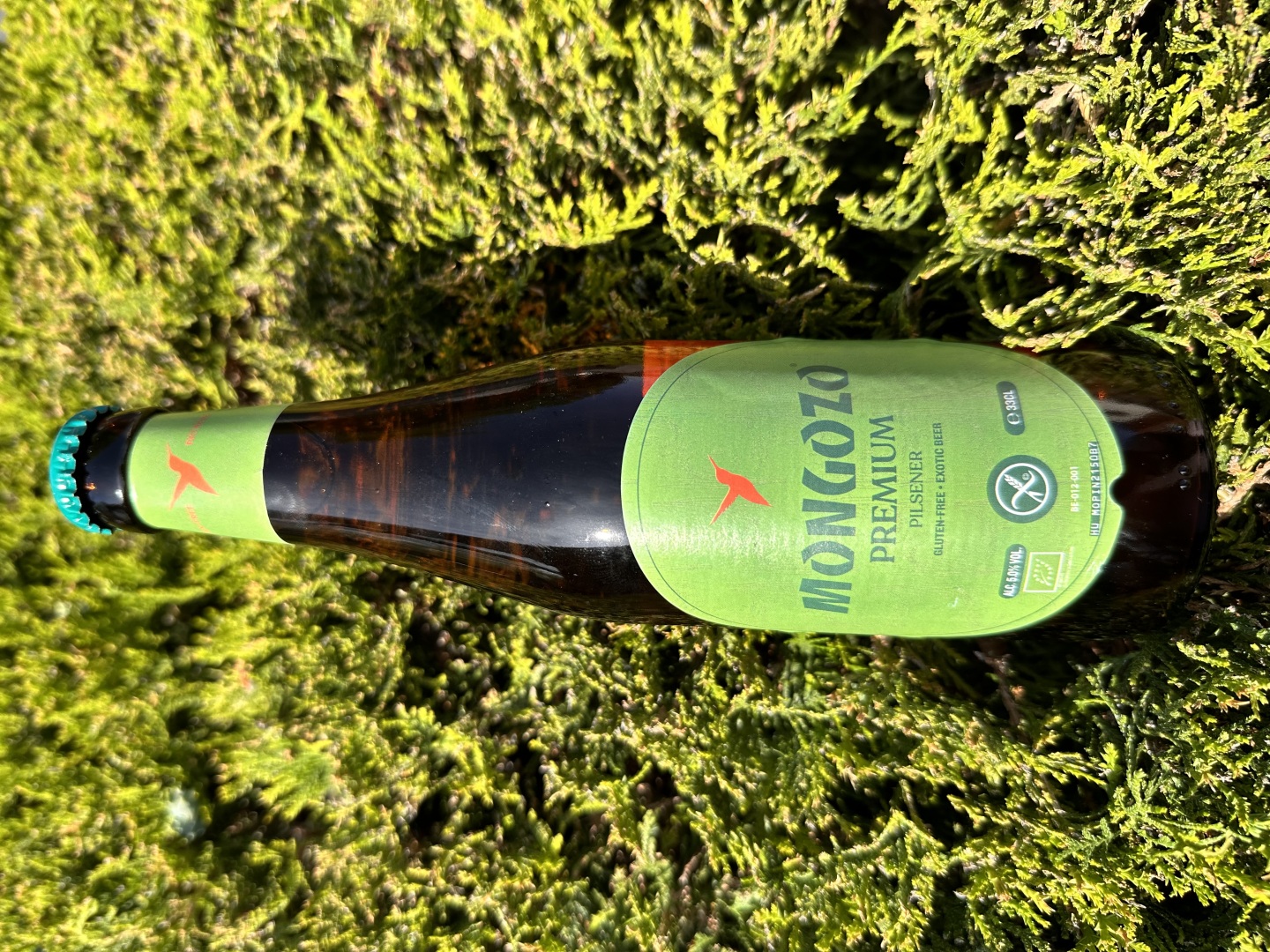 Изображението липсва