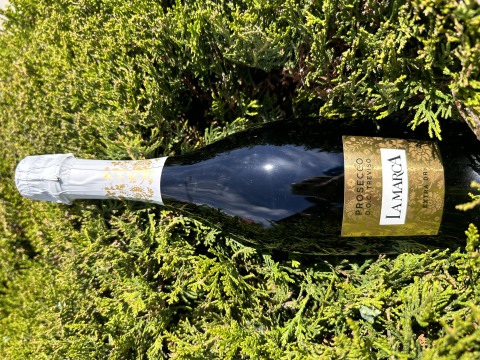 Изображението липсва