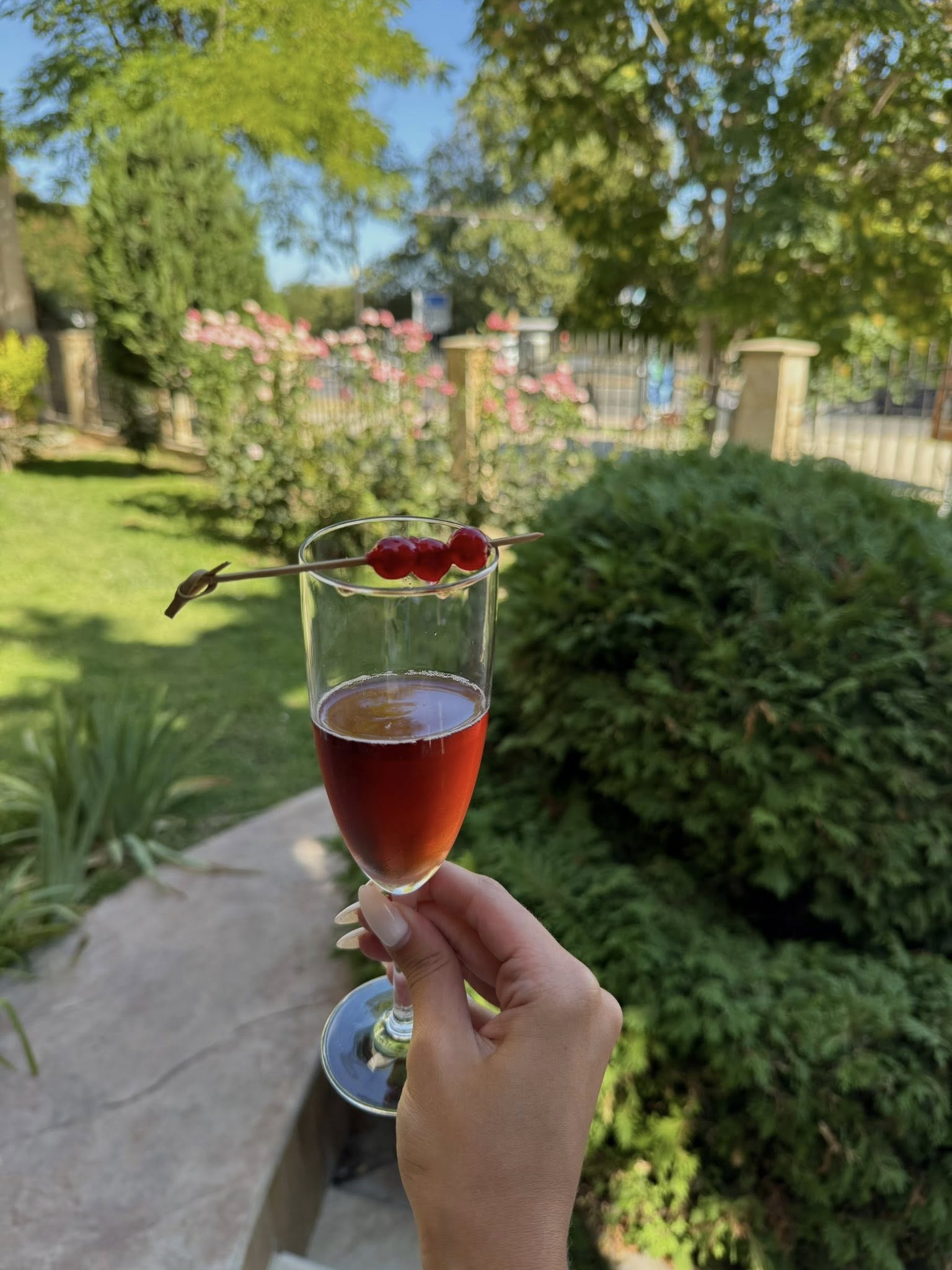 Главна галерия