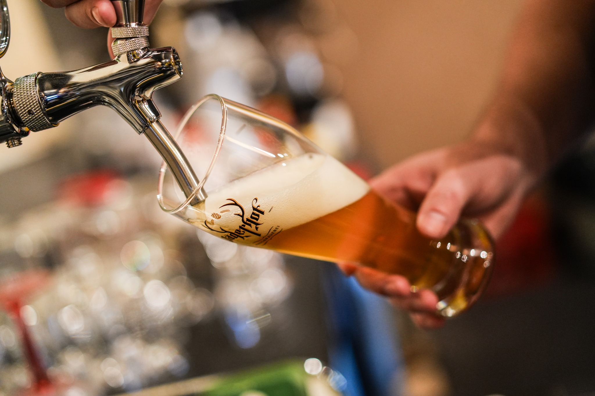 Главна галерия