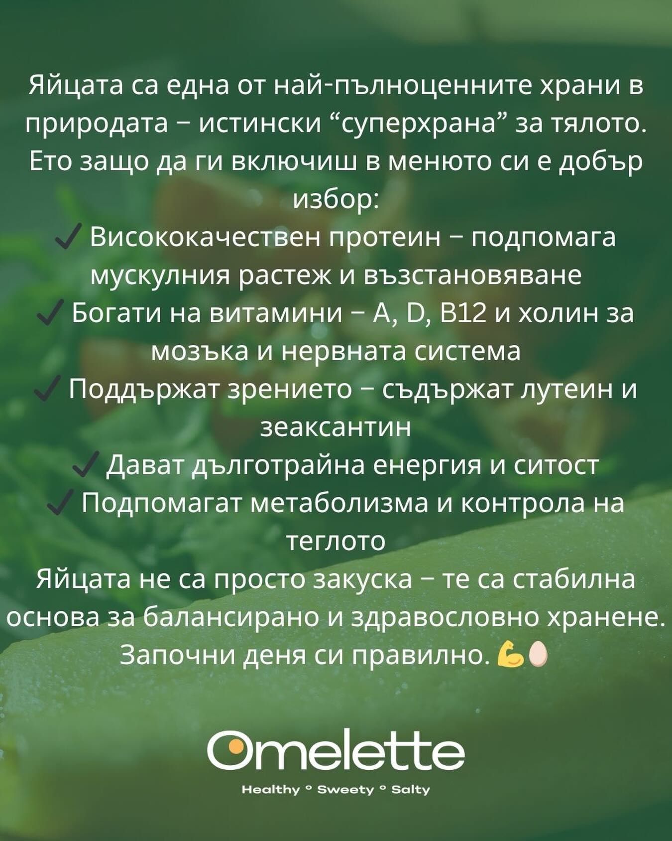 Главна галерия