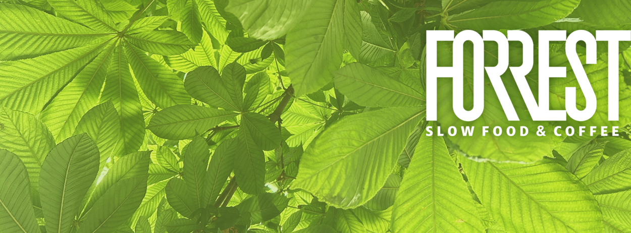 FORREST Varna venue cover photo