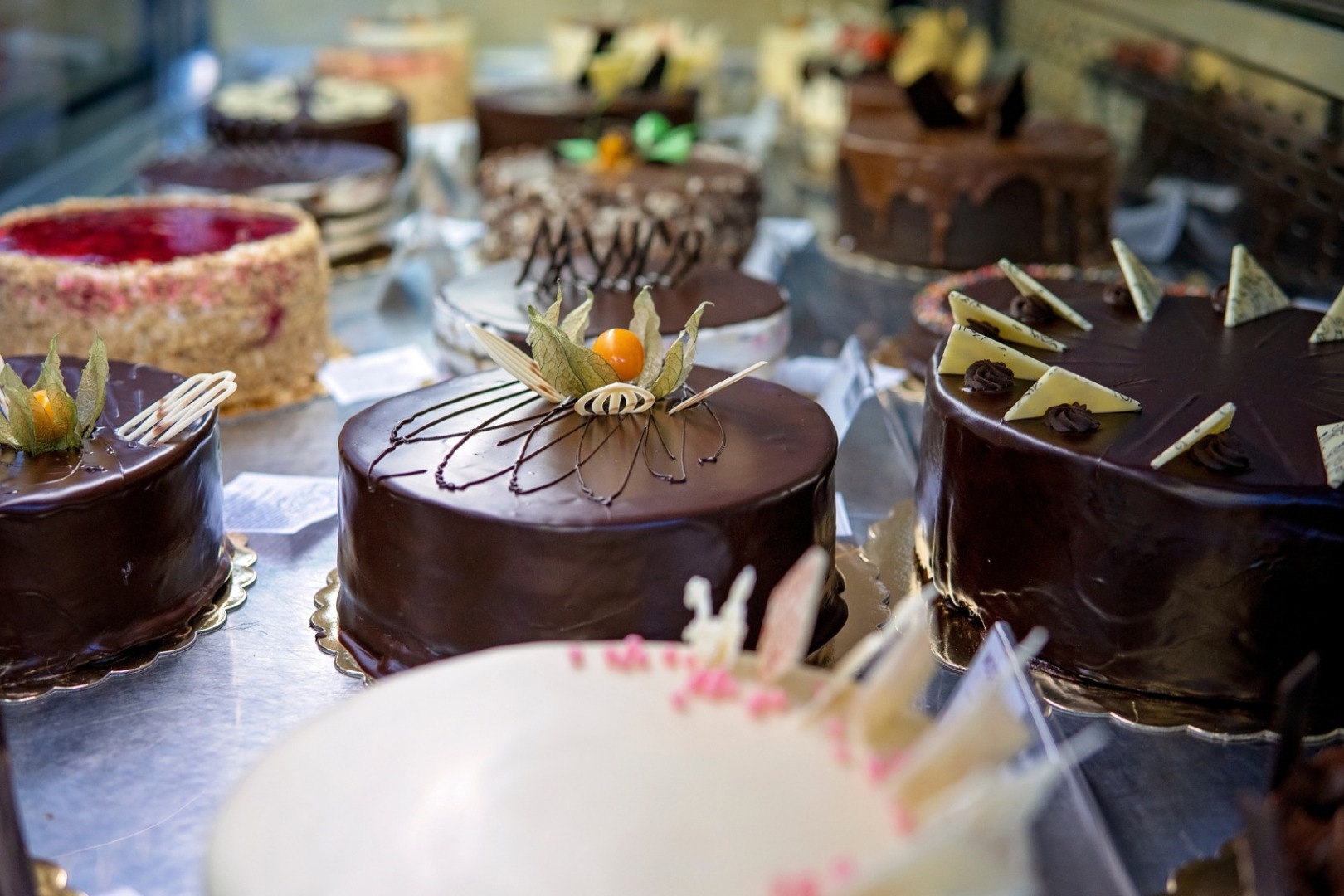 Главна галерия