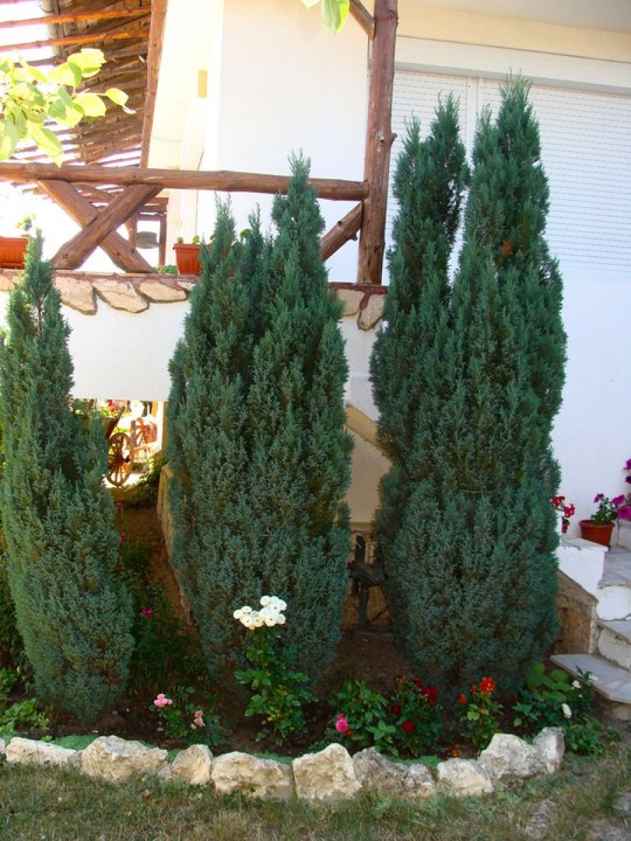 Главна галерия