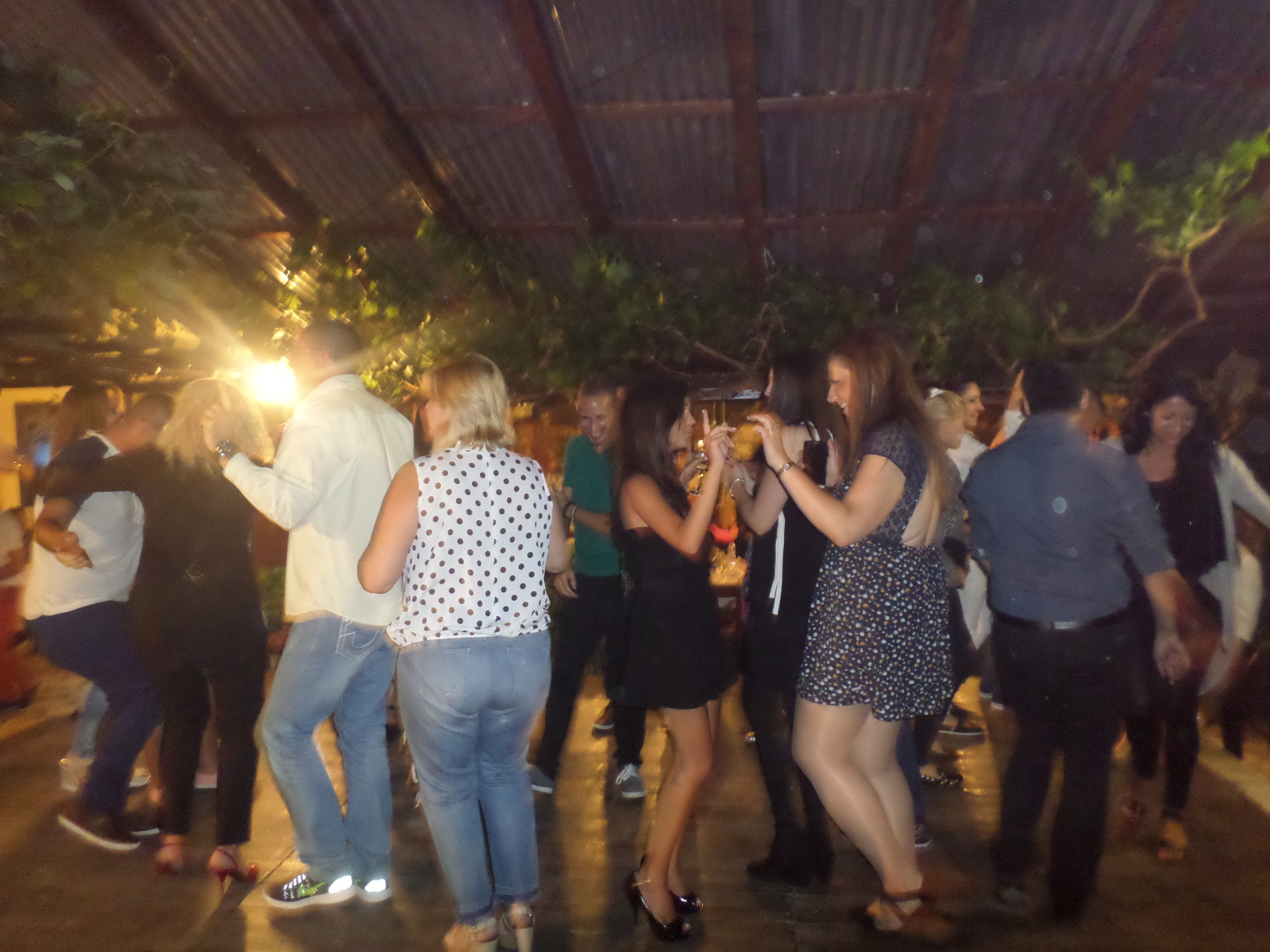 Главна галерия