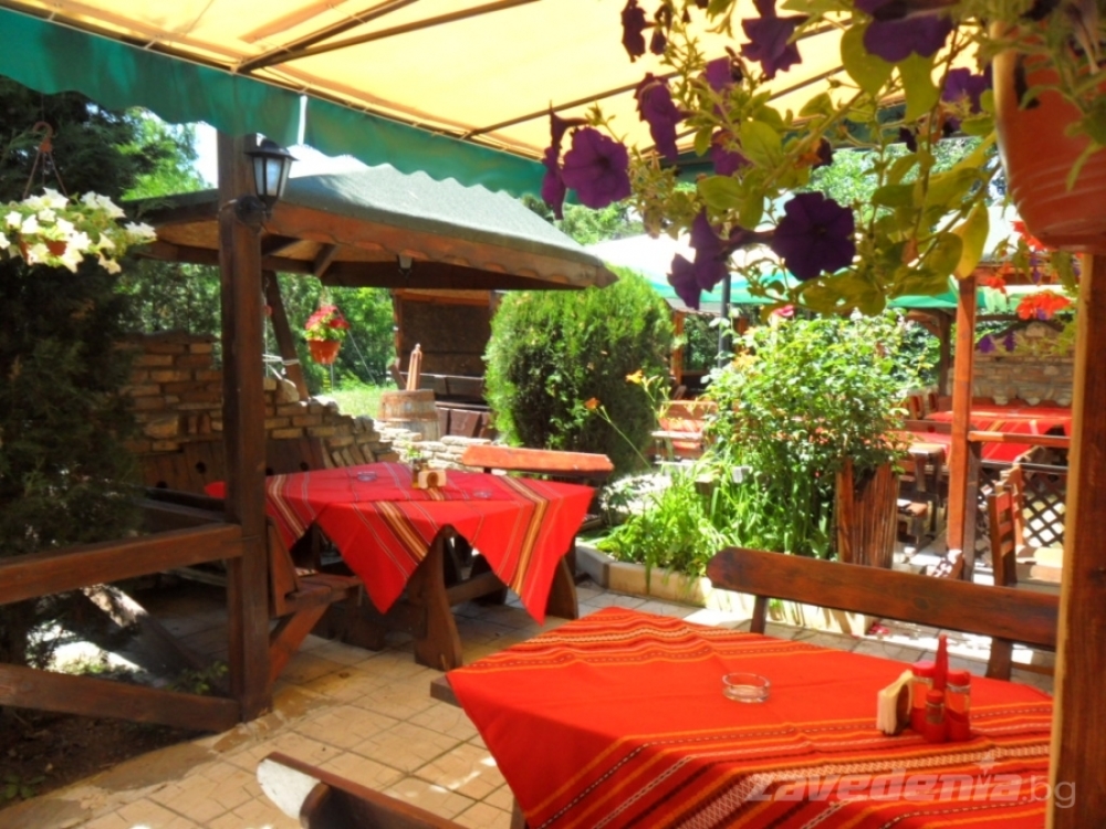 Лятна градина