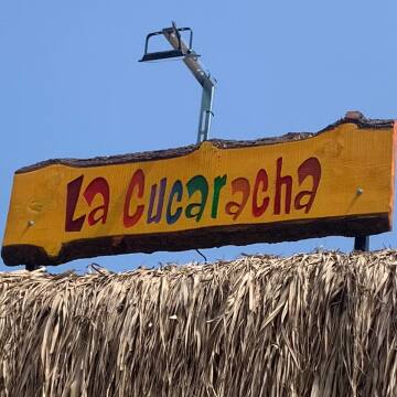 La Cucaracha Beach Bar logo
