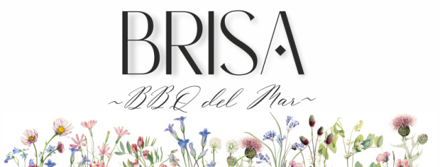 This is BRISA - BBQ del Mar's logo
